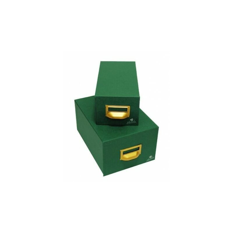 Mariola Fichero Carton Forrado en Geltex Nº4 para 1000 Fichas - Medidas 220x155x350mm - Resistente y Duradero - Color Verde