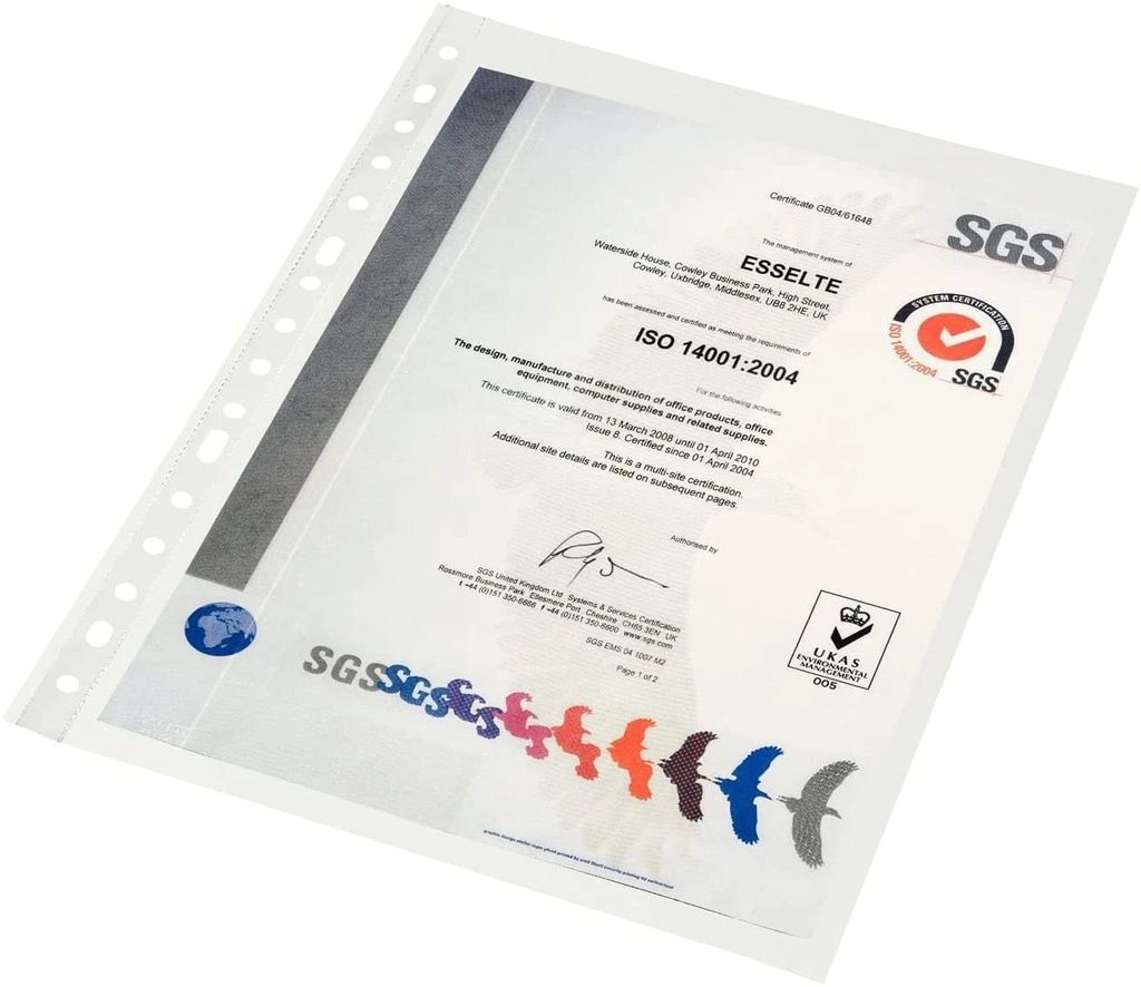 Esselte Pack de 100 Fundas Multitaladro Portadocumentos - Formato Folio - 16 Taladros - 80 Micras - Piel de Naranja - Color Transparente