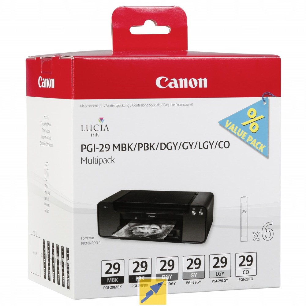 Canon PGI29 Pack de 6 Cartuchos de Tinta Originales - 4868B018