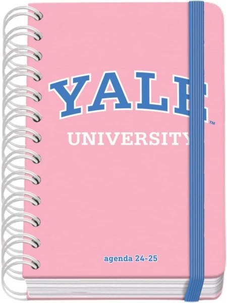 Dohe YALE Pink Lady Agenda Escolar Espiral Wire?o A6 - Dia Pagina - Papel 80g/m2 - Cubierta de Carton Plastificado - Cierre con Goma Elastica - Color Rosa