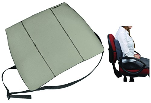 Fellowes Smart Suites Respaldo de Espuma Ergonomico - Espuma de Alta Densidad - Correa Ajustable - Color Gris