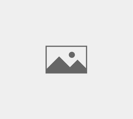 Epson T11P1 Negro Cartucho de Tinta Original - C13T11P140