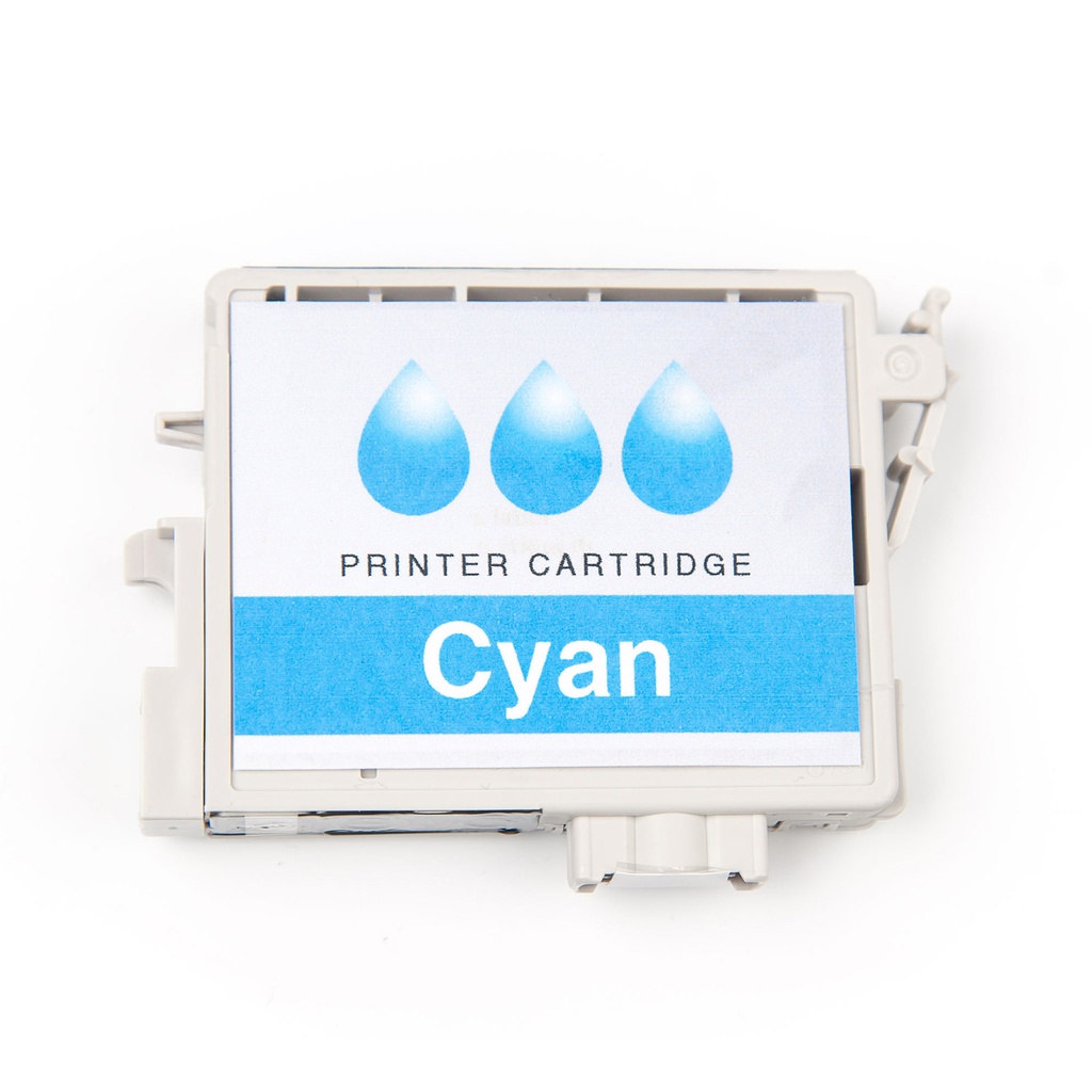 Epson T54X2 Cyan Cartucho de Tinta Original - C13T54X200