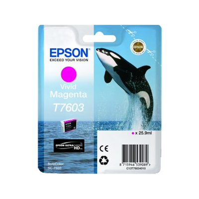Epson T7603 Magenta Cartucho de Tinta Original - C13T76034010