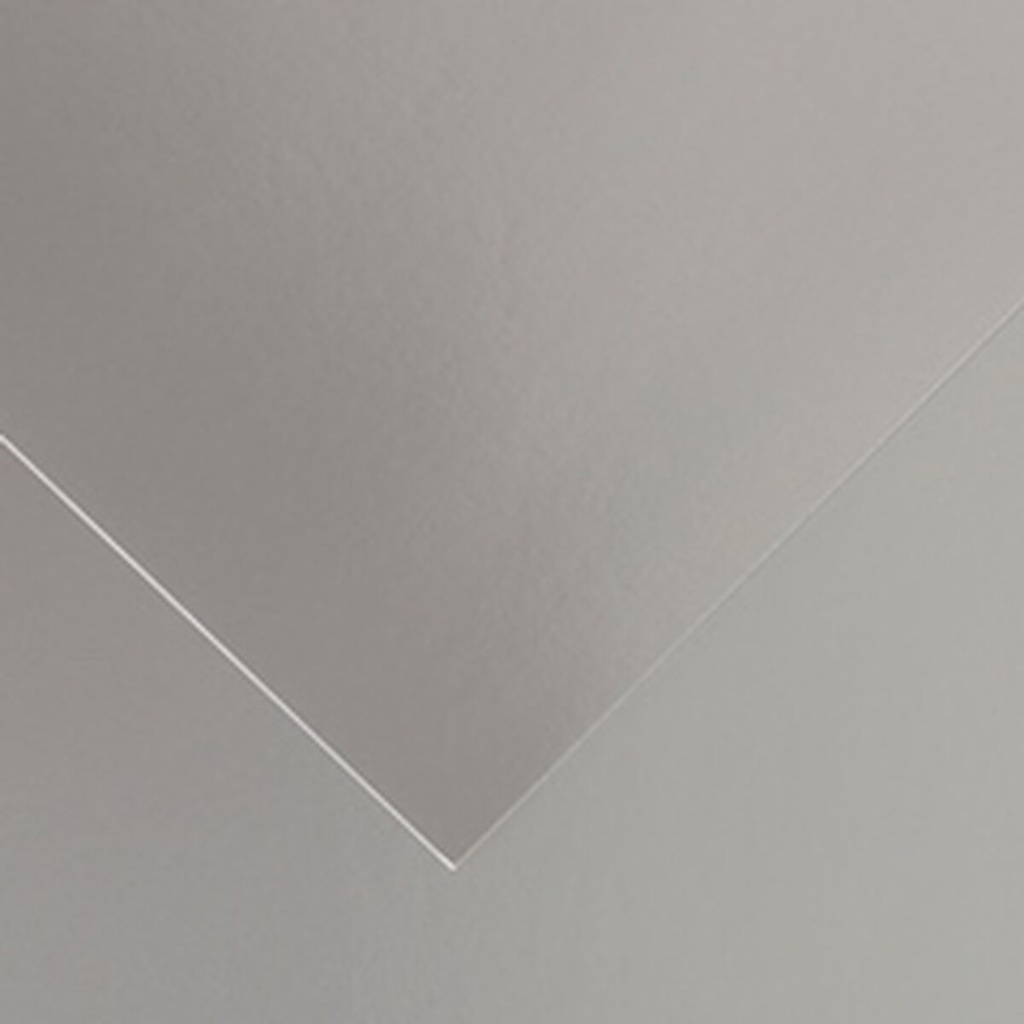 Canson Guarro Pack de 25 Cartulinas Iris de 185g - 50x65cm - Color Plata