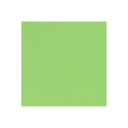 Canson Guarro Pack de 50 Cartulinas Iris A4 de 185g - 21x29.7cm - Color Verde Manzana