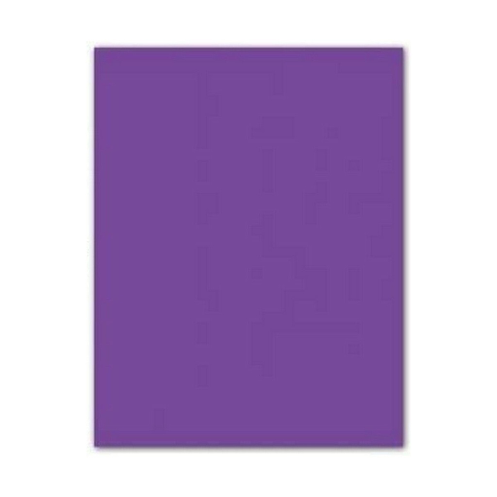 Canson Guarro Pack de 25 Cartulinas Iris de 185g - 50x65cm - Color Violeta