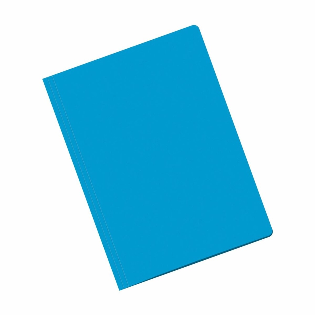 Dohe Subcarpetas Fabricadas en Cartulina de 180gr - con Ranura para Fastener - Ideal para Organizar Documentos - Resistente y Duradera