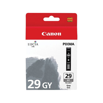 Canon PGI29 Gris Cartucho de Tinta Original - 4871B001