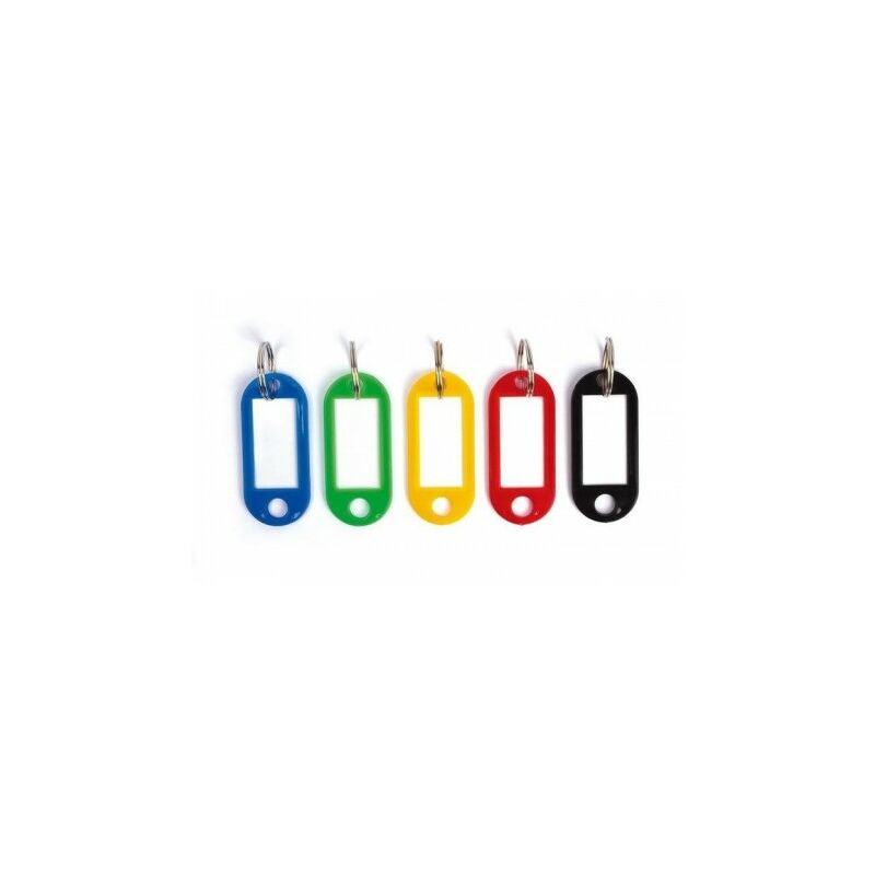 Apli Pack de 100 Llaveros con Etiqueta - Facil Apertura - Ideal para Oficinas, Almacenes y Hogar - Colores Surtidos