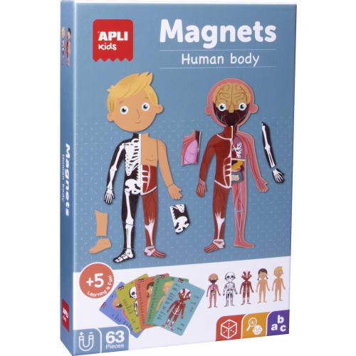 [18531] Apli Juego Magnetico del Cuerpo Humano - Ayuda a Familiarizarse con el Cuerpo Humano - 63 Piezas Magneticas y 15 Fichas - Recomendado para Niños a partir de 5 Años